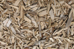 biomass boilers Branksome